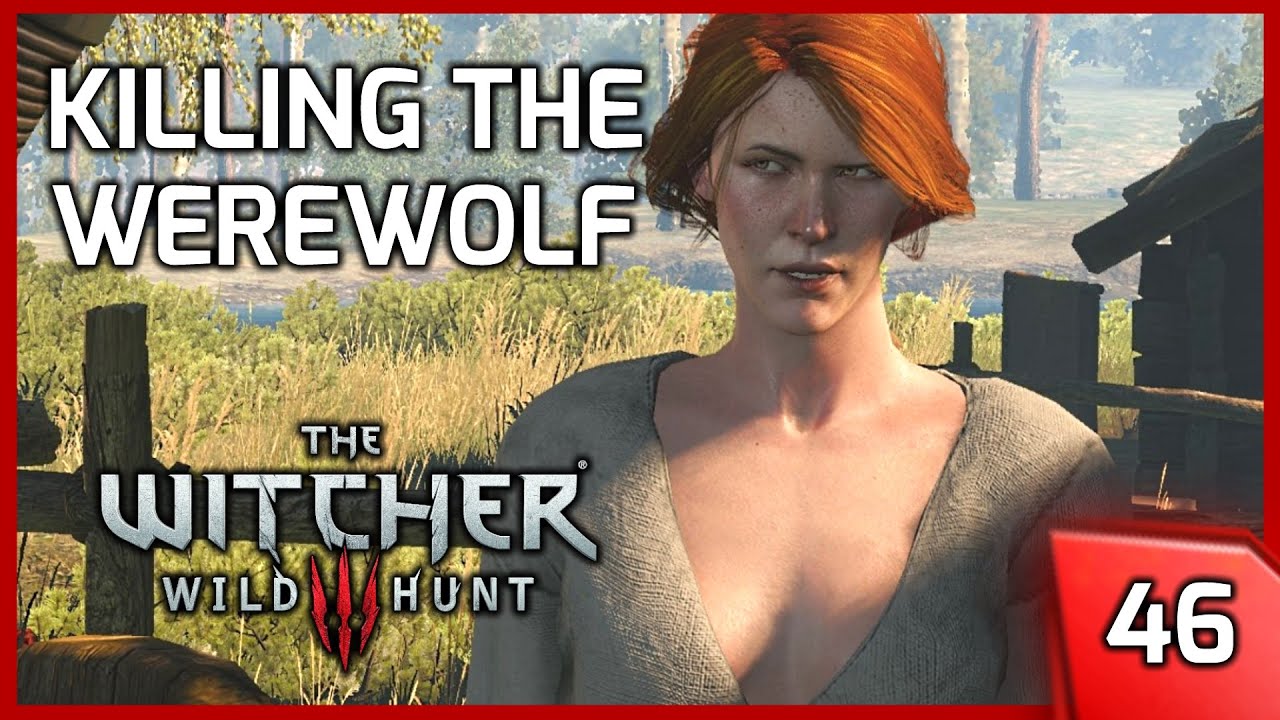 witcher 3 wild at heart bug